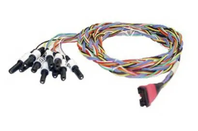 Cadwell - Ives CPE - 202951-000 - Eeg Electrode Ives Cpe Monitoring Ct Imaging 1 Set 21 Leads