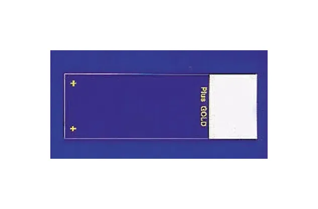 Fisher Scientific - Fisherbrand Superfrost Plus Gold - 22035813 - Charged Microscope Slide Fisherbrand Superfrost Plus Gold 25 X 75 Mm White Frosted End